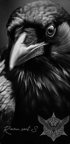 a black and white photo of a bird with an ornate design on it's head