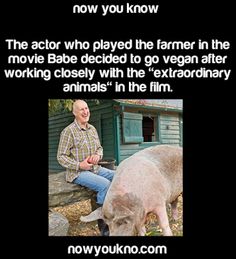 a man sitting on a bench next to a pig and text that reads, now you know the actor who played the farmer in the movie babe decided to go vegan after working closely with extraordinary animals