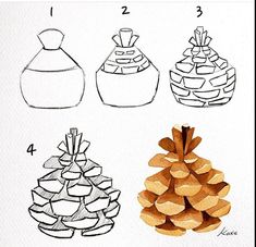 four different types of pine cones are shown in this drawing lesson for children to learn how to draw them