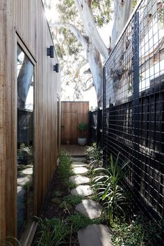 an outdoor area with wooden walls and plants in the foreground, next to a black fence