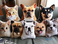 a group of dogs and cats sitting on top of a couch next to each other