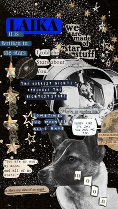 a collage of words and pictures with a dog in the middle, stars on the background