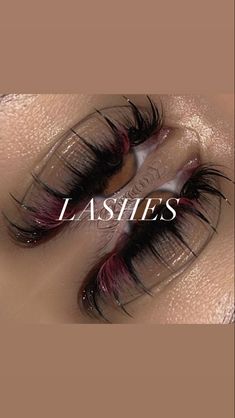 Brown Lashes, Eyelash Extentions, Lash Tech, Best Lashes, Lash Extension, Makeup Eyelashes