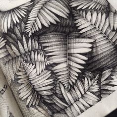 an ink drawing of leaves on paper