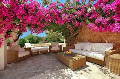 an outdoor living area with wicker furniture and pink flowers on the trees overhanging it