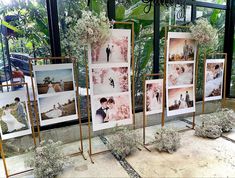 wedding photos are displayed on easels in front of a window with plants and flowers