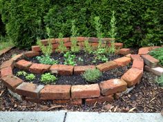 a brick garden bed with plants growing in it