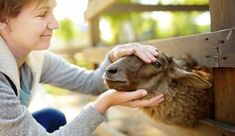 a woman is petting a small animal on the side of a wooden fence with her hands