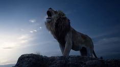 a lion standing on top of a rocky hill with its mouth open and it's teeth wide open