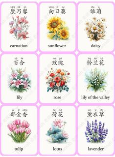 an image of flowers in english and chinese