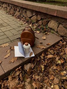 a backpack and coffee cup sitting on the ground next to a sidewalk with fallen leaves