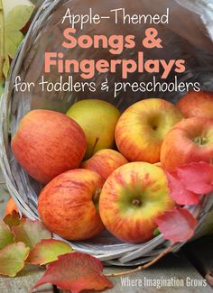 apples and leaves in a basket with text overlay that reads apple - themed songs & fingerplays for toddlers and preschoolers