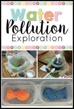 the water pollution experiment is in plastic containers