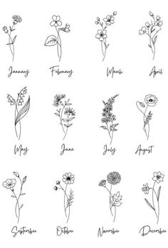 flowers are drawn in different ways with the words, names and meaningss on them