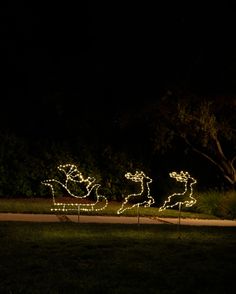 christmas lights in the shape of santa's sleigh and reindeers at night