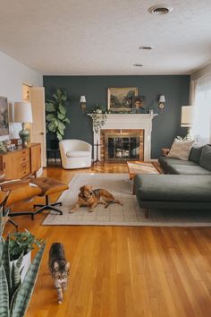 a living room filled with furniture and a dog laying on the floor next to it