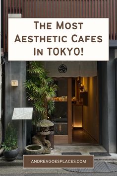 the most aesthetic cafes in tokyo and their names are written on them, so they can be seen here