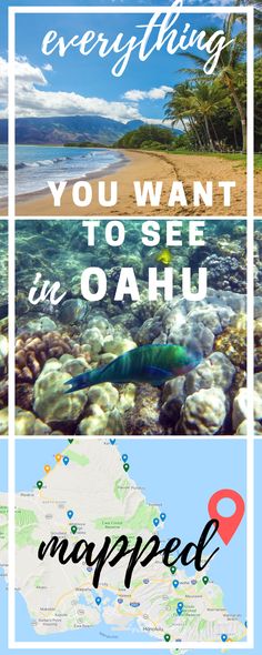 an image with the words everything you want to see in oahuu