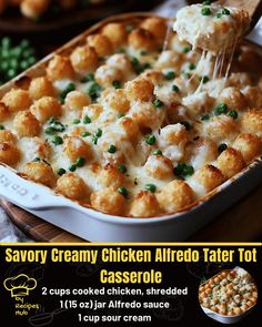 Savory Creamy Chicken Alfredo Tater Tot Casserole Supper Casseroles, Creamy Chicken Alfredo, Mexican Casserole Recipe, Tater Tot Casserole Recipes, Chicken Pasta Bake, Tot Casserole, Tasty Dinner