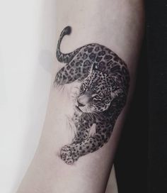 a black and white photo of a leopard on the arm