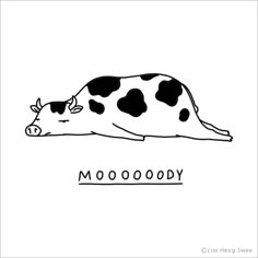 a black and white cow laying down with the word moooday written on it