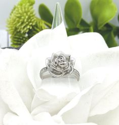 a close up of a flower with a ring on it