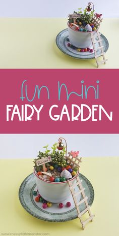 two plates with plants in them and the words fun mini fairy garden written on it