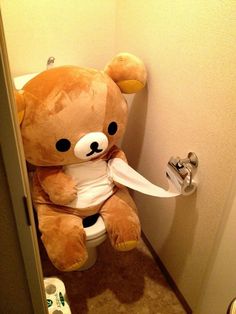 a brown teddy bear sitting on top of a toilet paper dispenser in a bathroom