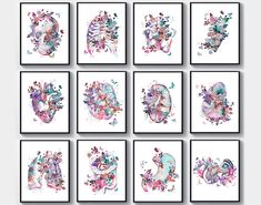 six watercolor paintings in different shapes and sizes, each with an abstract floral design