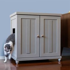 a cat hiding behind a cabinet on the floor