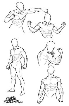 three different poses of the human body, one showing muscles and one showing back view