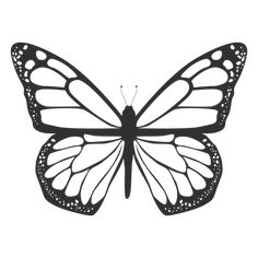 a black and white butterfly on a white background