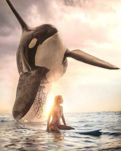 a woman sitting on a surfboard in the ocean with an orca jumping out of the water