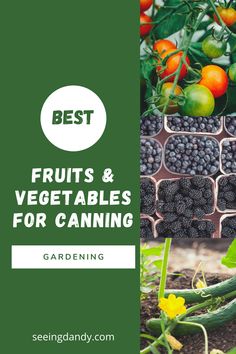 the best fruits and vegetables for canning in garden boxes with text overlay that reads best fruits and vegetables for canning