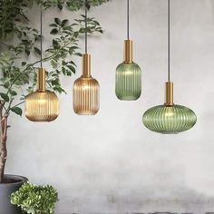 three green and gold glass pendant lights hanging from the ceiling next to a potted plant