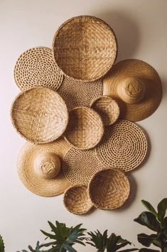 several woven baskets are arranged on the wall next to potted plants and houseplants