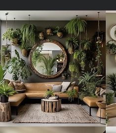 a living room filled with lots of potted plants