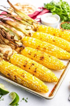 grilled corn on the cob with herbs and seasoning