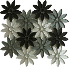 several black and white flowers are arranged together