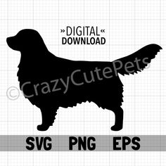 a black and white silhouette of a dog with the words crazy cute pets svg png