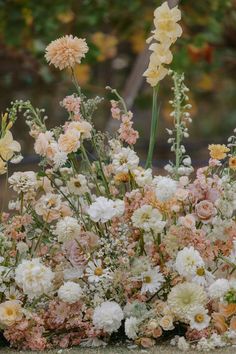 a bunch of flowers that are sitting on the ground