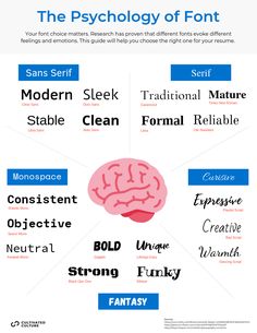 the anatomy of the human brain and its functions in each part of the body, including the