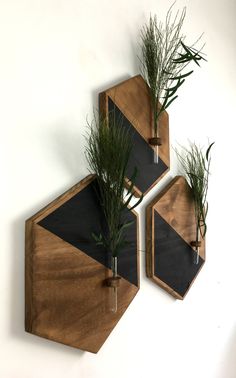 three wooden shelves with plants in them on the wall