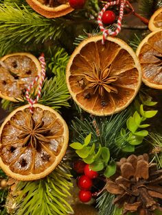 some orange slices are hanging from a christmas tree