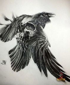 a drawing of a bird with a skull in it's beak