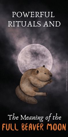 the meaning of the full beaver moon, with an image of a bear on it's back