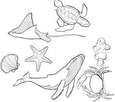 an image of sea animals coloring pages