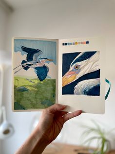 a hand holding an open book with two pictures of birds on it and another bird in the background