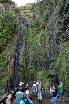 people standing in front of a waterfall with lots of green plants on the sides and trees growing all around