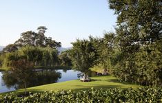 a lake surrounded by lush green trees and bushes